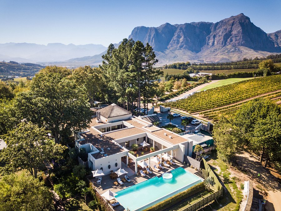 SelfishMe Travel Winery and Spa Resort of the Week Delaire